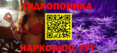 мяу мяу мука Малоярославец