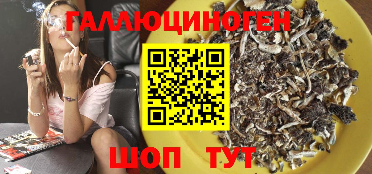 Галлюциногенные грибы Psilocybine cubensis  Галлюциногенные грибы MAGIC MUSHROOMS  Вход с VPN  Феодосия 